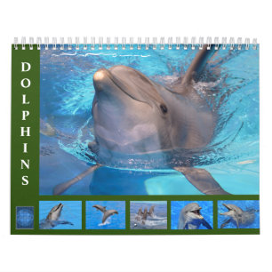 Delfines botellas calendario de 12 meses