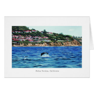Delfines cerca de Palos Verdes