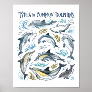 Delfines Comunes Acuarela Arte de Vida Silvestre O