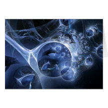 Delfines en la tarjeta húmeda