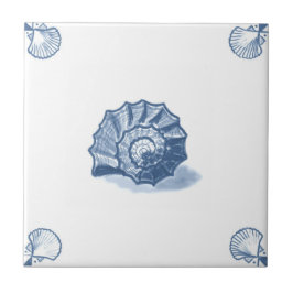 Delft Shell espiral teja con las esquinas de Shell