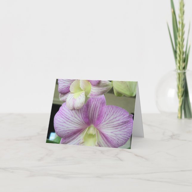 Delicada orquídea blanca y violeta en una tarjeta  (Anverso)