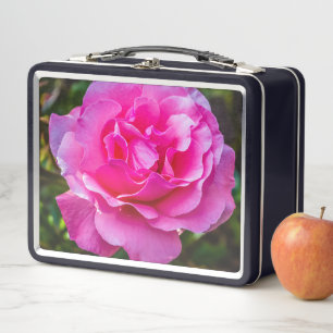 Delicada rosa.