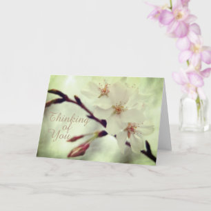 Delicada tarjeta de flores de cerezo