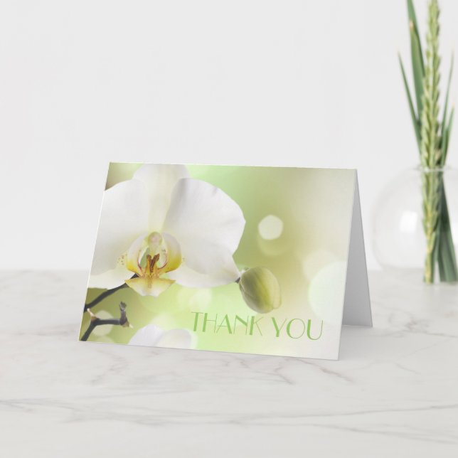 Delicada tarjeta Primavera blanca Orquídeas (Anverso)