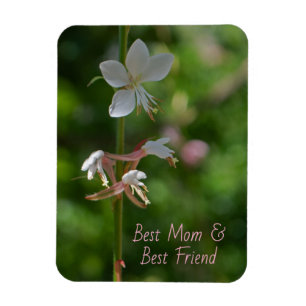 Delicadas flores rosas mejor mamá mejor amigo imán