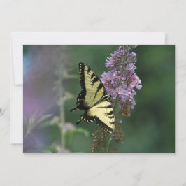 Delicado Toque De Una Mariposa - Tarjeta De Saludo