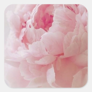 Delicados Pegatinas de Peony Rosa