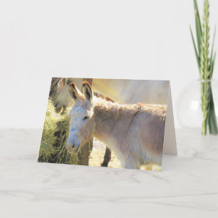Deliciosa tarjeta de felicitación de burro