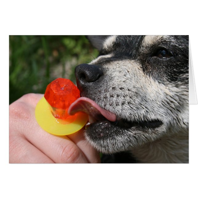 Delicioso (Anverso (Horizontal))