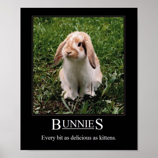 ¡Deliciosos Bunnies! Póster (Frente)