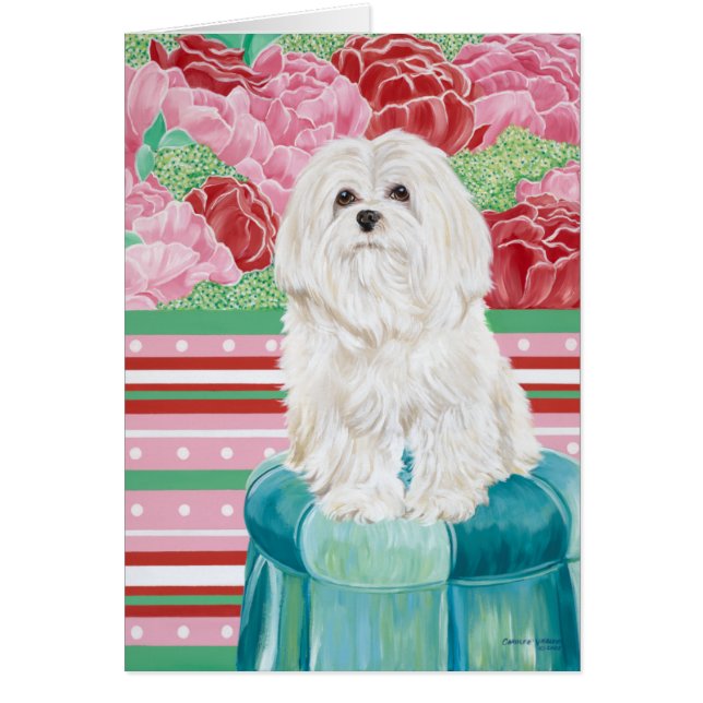 Della Rosa Maltese (Frente)