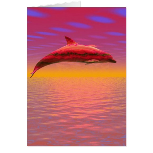Delphin Sunset (Frente)