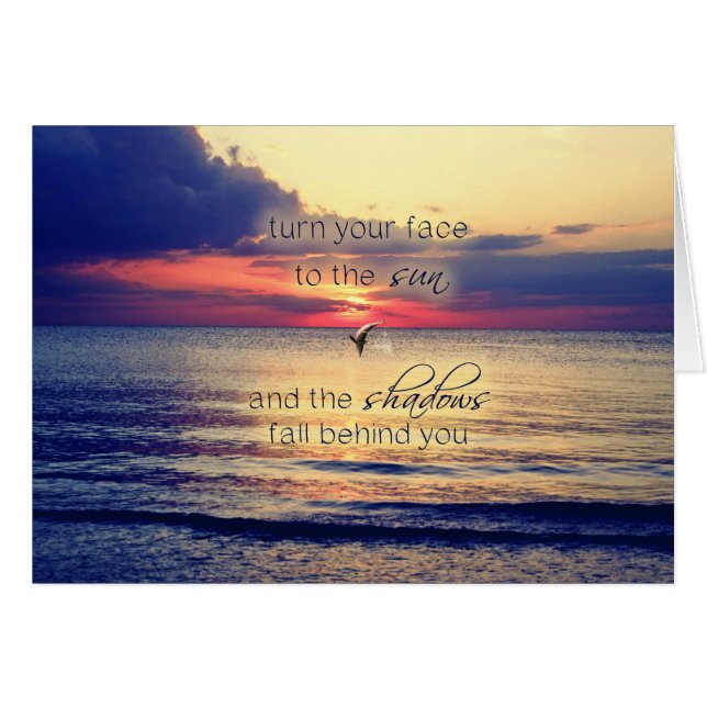 Delphin Sunset (Anverso (Horizontal))