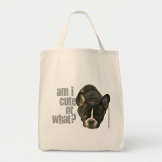 demasiado lindo llevar el bolso 2