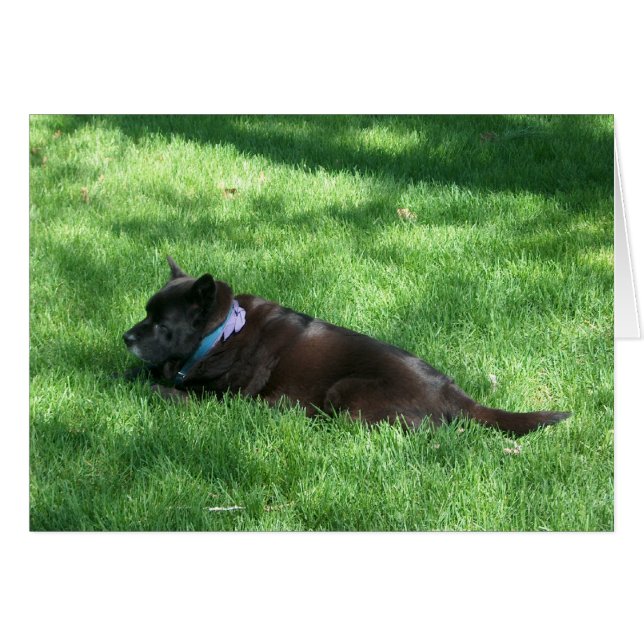 demkie (Anverso (Horizontal))