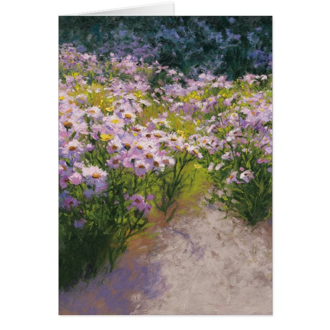 Demostración del aster de Buckhorn (Frente)