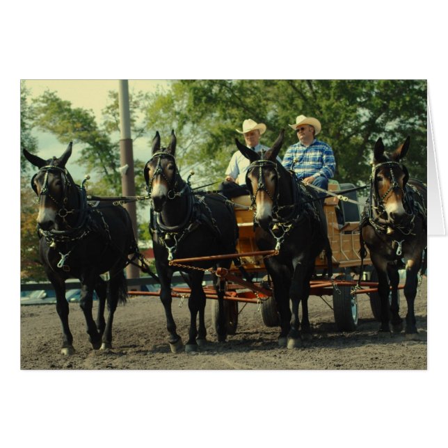 demostración del caballo de proyecto del va del (Anverso (Horizontal))