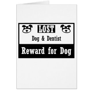 Dentista perdido del perro
