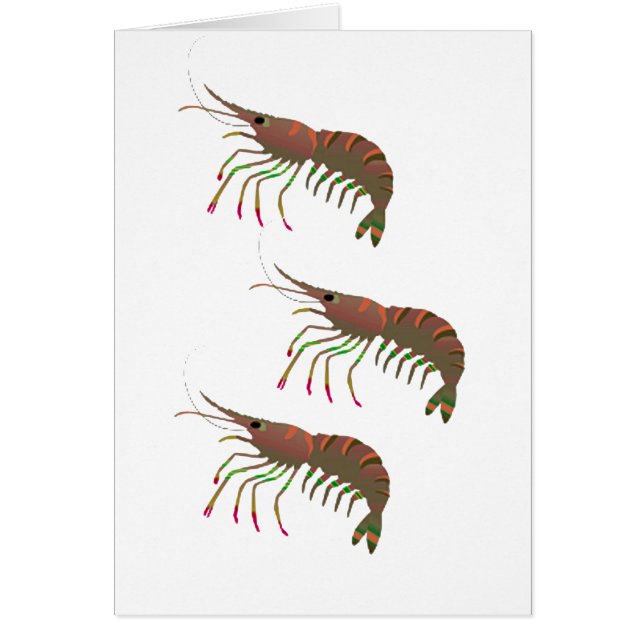 DENTRO DE LA BAHÍA (Frente)