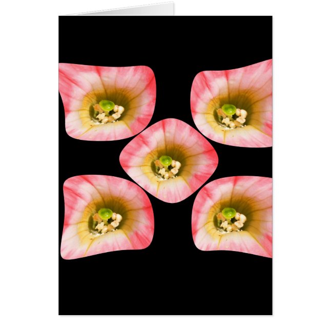 Deplante floral (Frente)