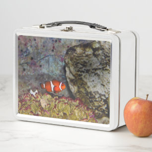 Deportes De Flor Marítimo Cerca Del Jardín De Cora