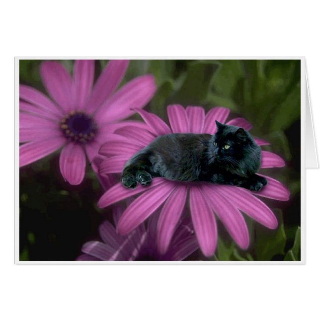 Derechos (Anverso (Horizontal))