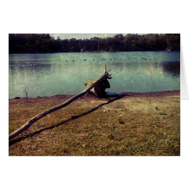 Derivación (Anverso (Horizontal))