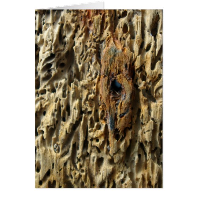 Derivación (Frente)