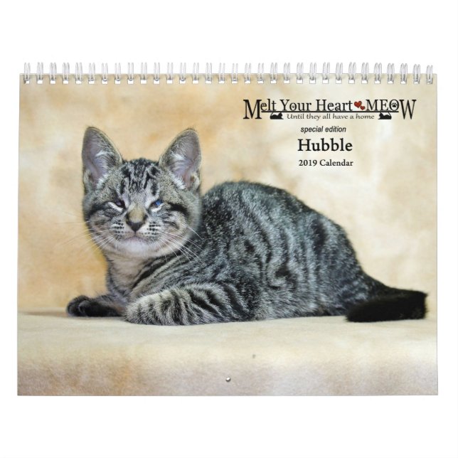 Derrita su calendario de Hubble 2019 del maullido (Tapa)