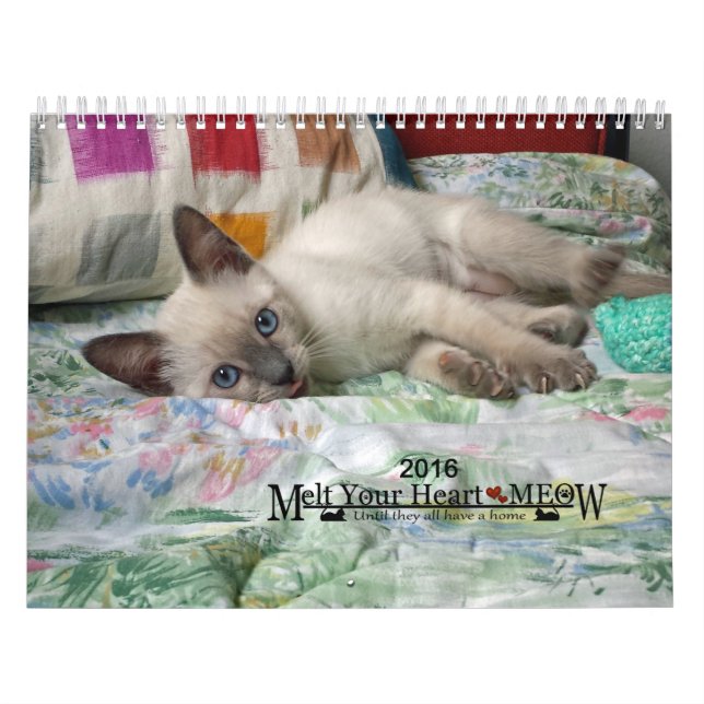 Derrita su corazón - calendario 2016 del gatito (Tapa)