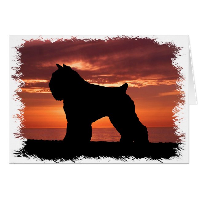 DES Flandres de Bouvier (Anverso (Horizontal))