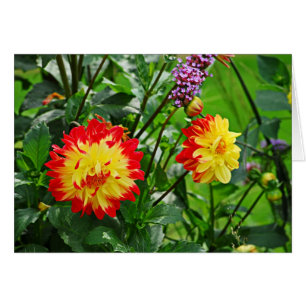 DES Plantes-2 de Jardin