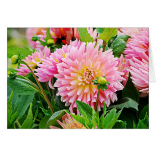 DES Plantes-4 de Jardin