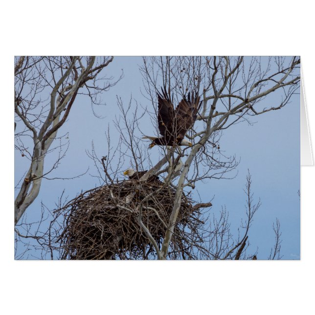 Desactivado para más (Anverso (Horizontal))