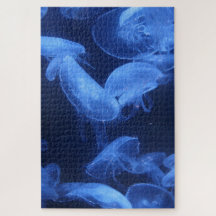DESAFÍO Jellyfish Puzzle Ocean Animals