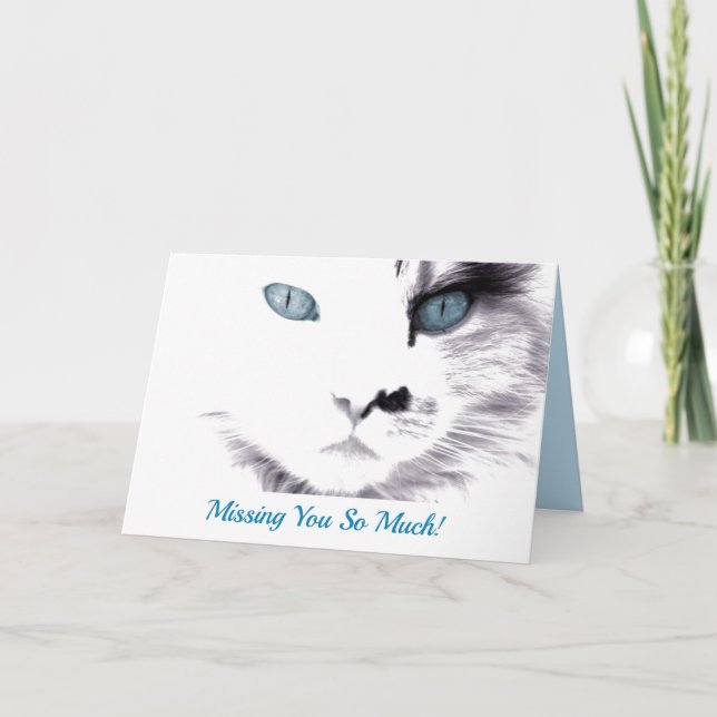 Desaparecido Gato Oído Azul (Anverso)