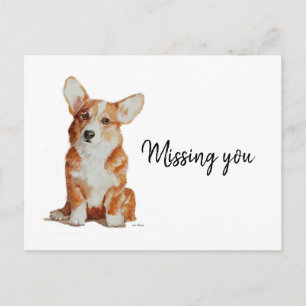 Desaparecidos usted postal de su pequeño Corgi