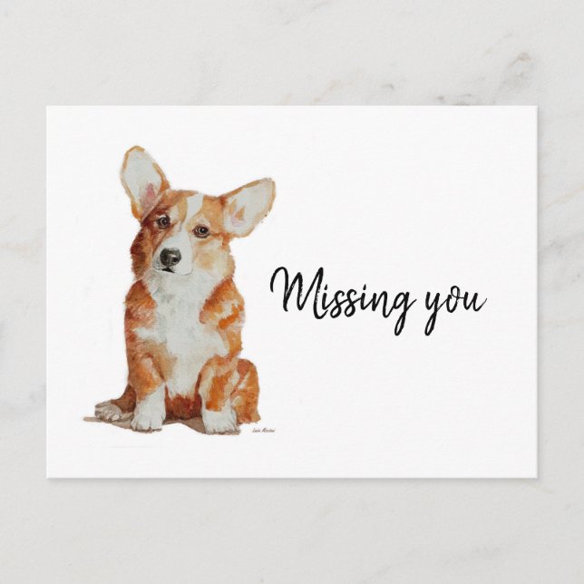 Desaparecidos usted postal de su pequeño Corgi (Anverso)
