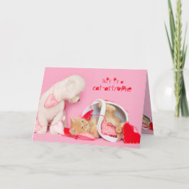 Desastre de gato tarjeta de perro y gato de San Va