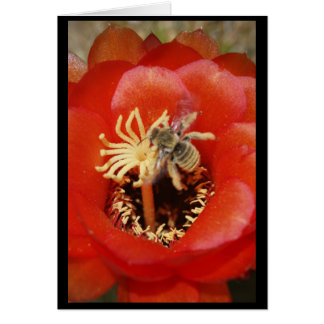 Desayuno de la abeja