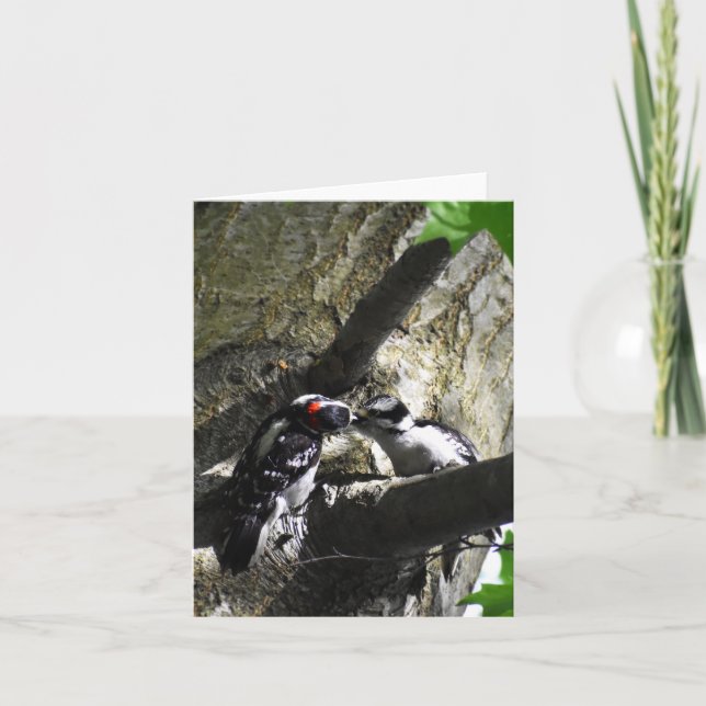 Desayuno (Downy Woodpecker #1) - Tarjeta de nota e (Anverso)