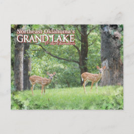 Descanso con tarjeta postal de Grand Lake Oklahoma