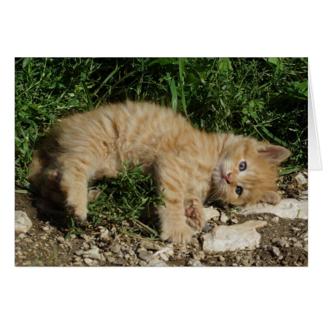 Descanso de bebé tabú (Anverso (Horizontal))