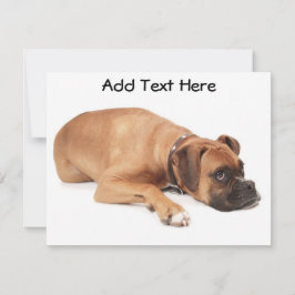 Descanso de Fawn Boxer