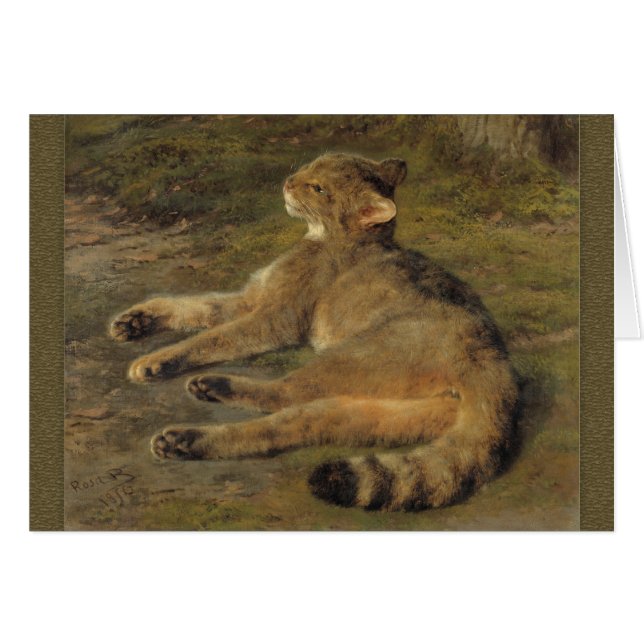 Descanso de un joven gato salvaje CC0481 Rosa Bonh (Anverso (Horizontal))