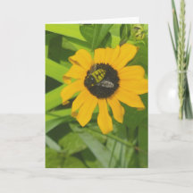 Descanso en una tarjeta de felicitación en blanco