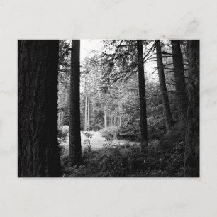 Descanso monocromo de la tarjeta postal de la oscu