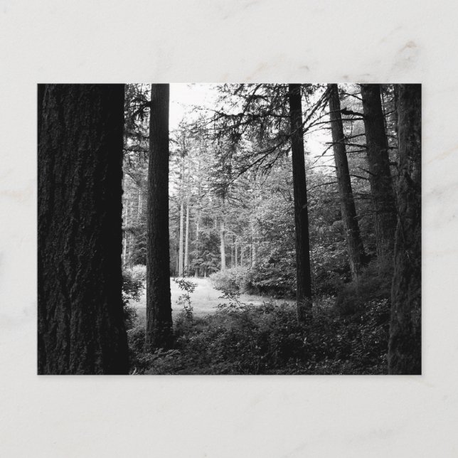 Descanso monocromo de la tarjeta postal de la oscu (Anverso)