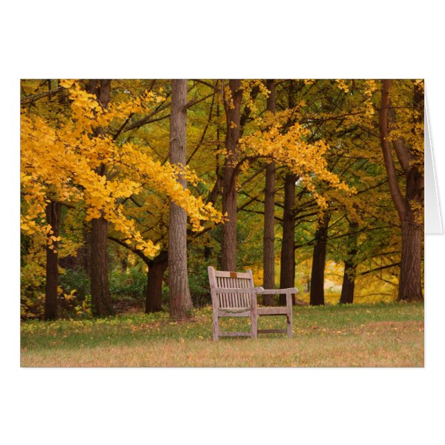 Descanso por un tiempo (Anverso (Horizontal))